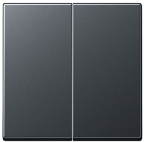 Лицевая панель Jung A creation для 2-кл. выключателя антрацит фото Лицевая панель Jung A creation для 2-кл. выключателя антрацит картинка